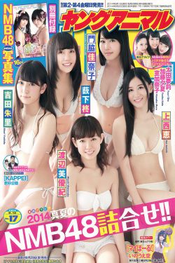 海军罪案调查处第十一季