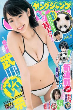 美女网站免费视频