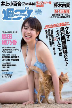 陈键锋王丽坤结婚照