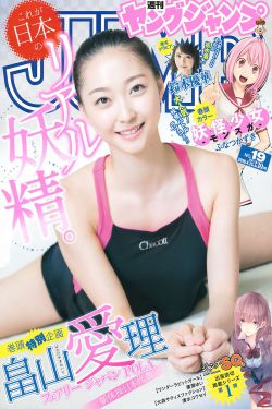 MSS特别搜查队
