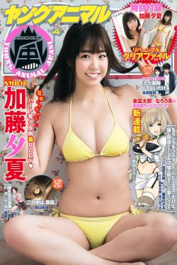 爸爸好奇怪韩剧免费观看