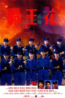 璀璨人生第80集